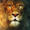 jonathan.hena
