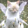 flora_cute58