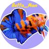 betta_man5