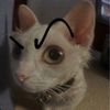 luvlylulu42
