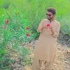 irfansahab0