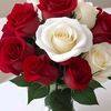 liam.steven140