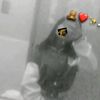 janethmarcos12