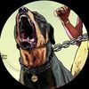 mateo.the.working.rottie