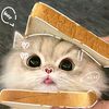 shalun_2314