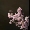 mart_0548