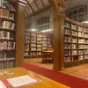 tinitinistudy
