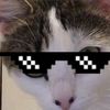 cathair911