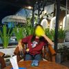 pipin_coyah1