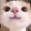 miu_w7w