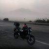 cris49330