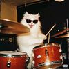 meowcapades