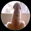 facundo_bur