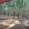 myduyen.tranthimy