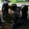 thng_mechim