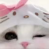 c_h_ipcuti