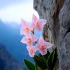 wai.mar.aung780