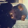 hk01f3mb0y