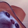 charles.mg0