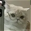 dangdeptrai19