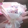 pga_anh