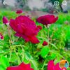 user5716256657512