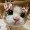 iren_softpoken8