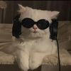 cat.lover447