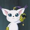 KittyBasecamp