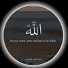majid637