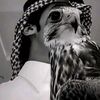 user3581423070128