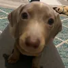fabbbsssayshello