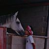 abo_hadi911