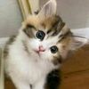 sandra.khadour