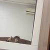 moulayahmed.di