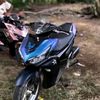 repal3106
