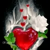 user2061151761538