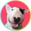 hopehound.uk