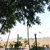 user119080297186