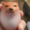 seizurxdvn