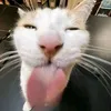 toiquandz