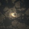 no_6486
