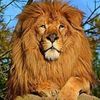 umar_004318