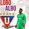 Lobo Albo ✨