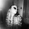 timofeeva_lox