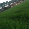 hossin.hossin5928