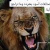 alyad.azawadi2