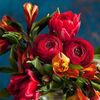 awa.diallo3778