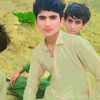 hassanmarri29