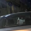 شاليهات الرياض